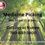 Medicine Picking