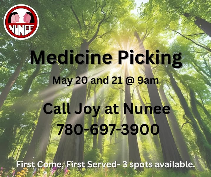 Medicine Picking